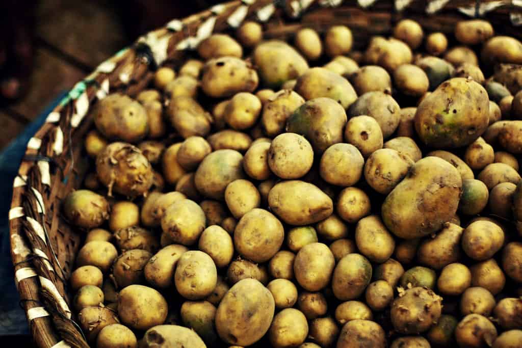 Basket of Potatoes, Rajiv Ashrafi